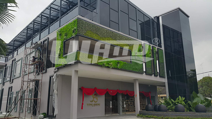 甜品店綠植墻