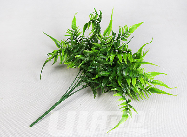 假植物