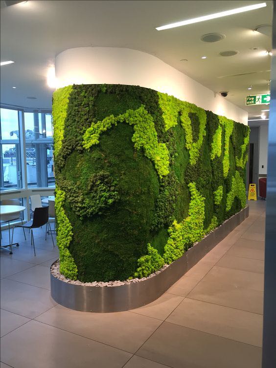 辦公室永生苔蘚logo植物墻案例